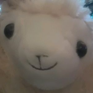 Meet your Posher, Human